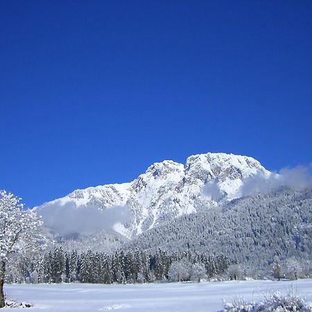 Knaller Der Reiterbauernhof Reisach Exteriér fotografie