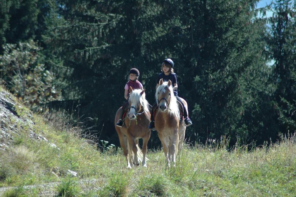 Knaller Der Reiterbauernhof Reisach Exteriér fotografie