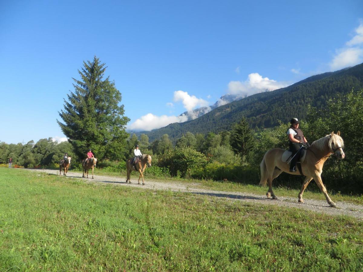 Knaller Der Reiterbauernhof Reisach Exteriér fotografie